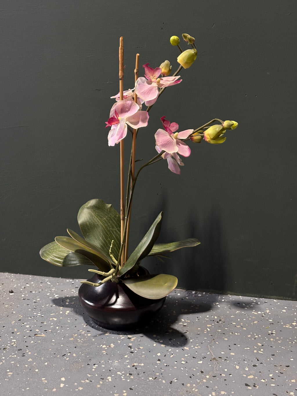 Orchid Floral Arrangment