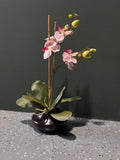 Orchid Floral Arrangment