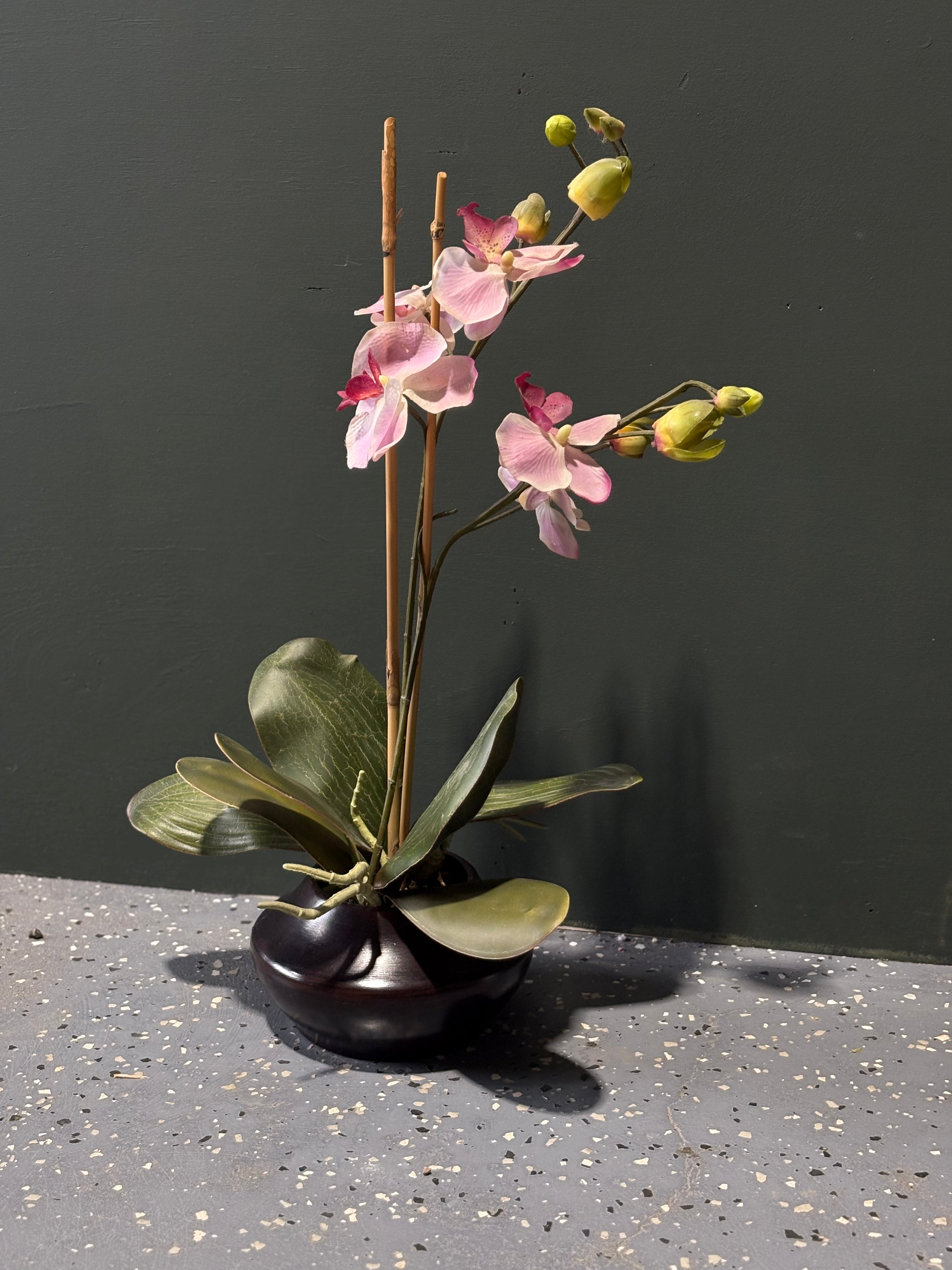 Orchid Floral Arrangment