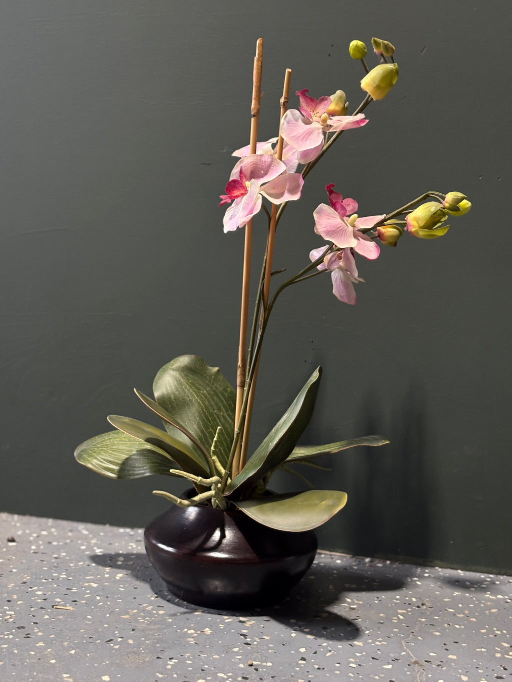Orchid Floral Arrangment