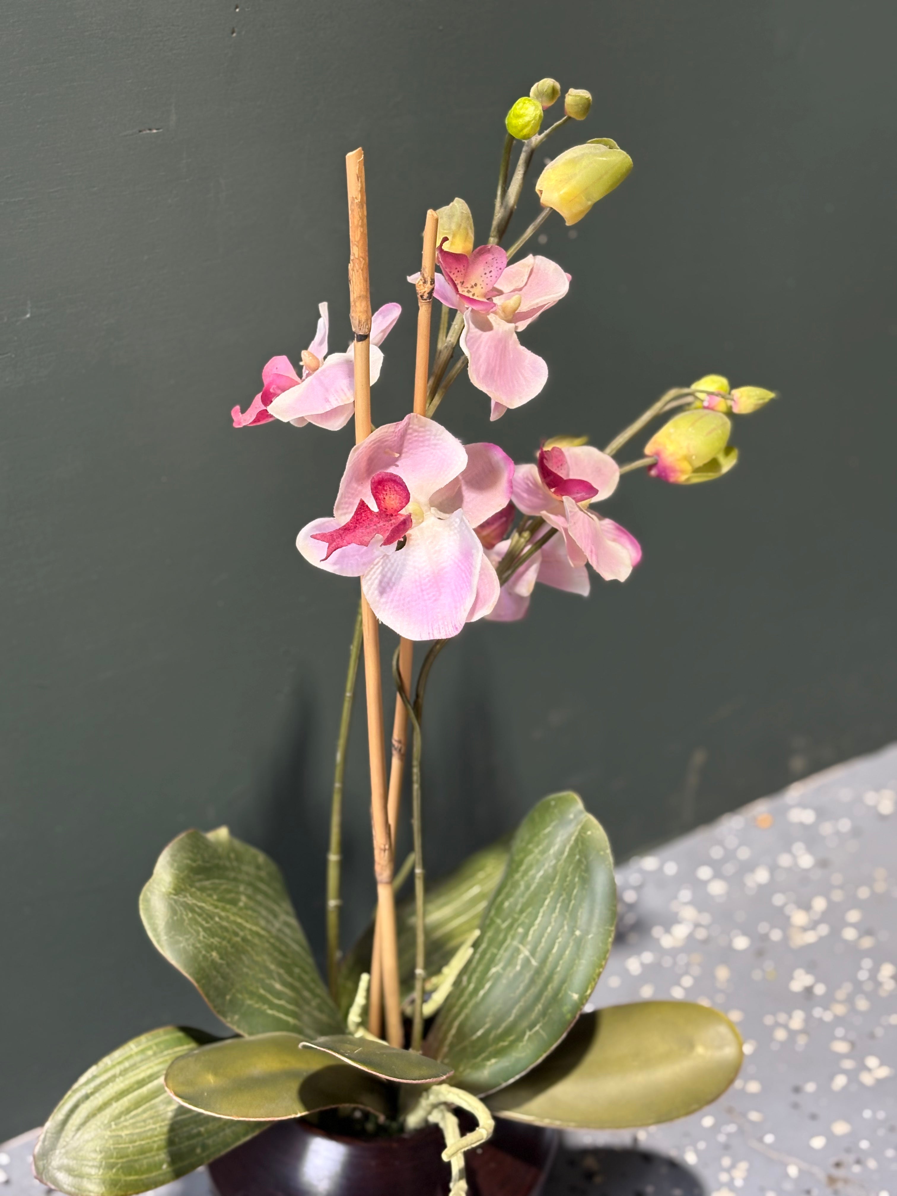 Orchid Floral Arrangment